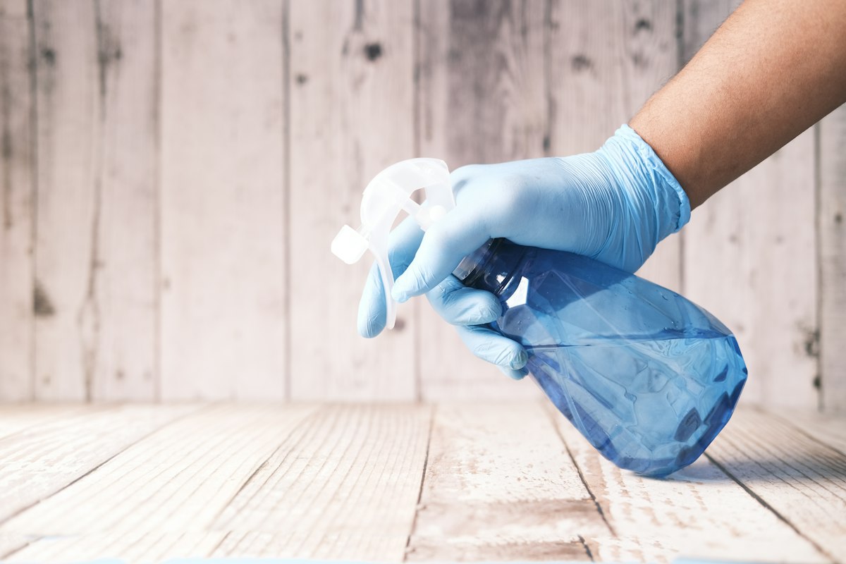 Recetas naturales antiparásitos